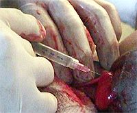 Anesthetics-1.jpg